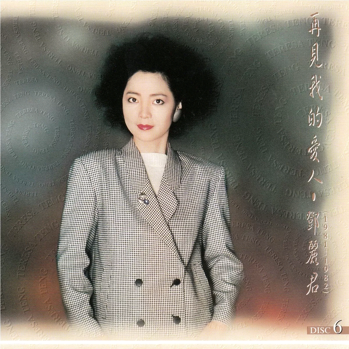 再见我的爱人6(1981-1982)
