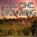 Codeine Dreaming - Tribute to Kodak Black and Lil Wayne专辑