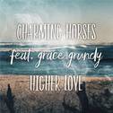 Higher Love (Original Mix)专辑