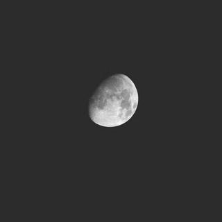 Max Richter 睡眠系列