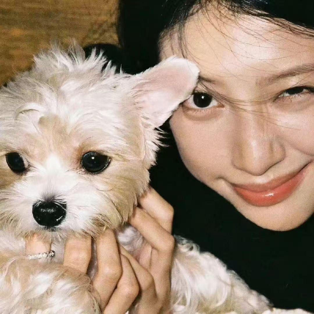 MONTAGEM SEM PARA (高燃FUNK)