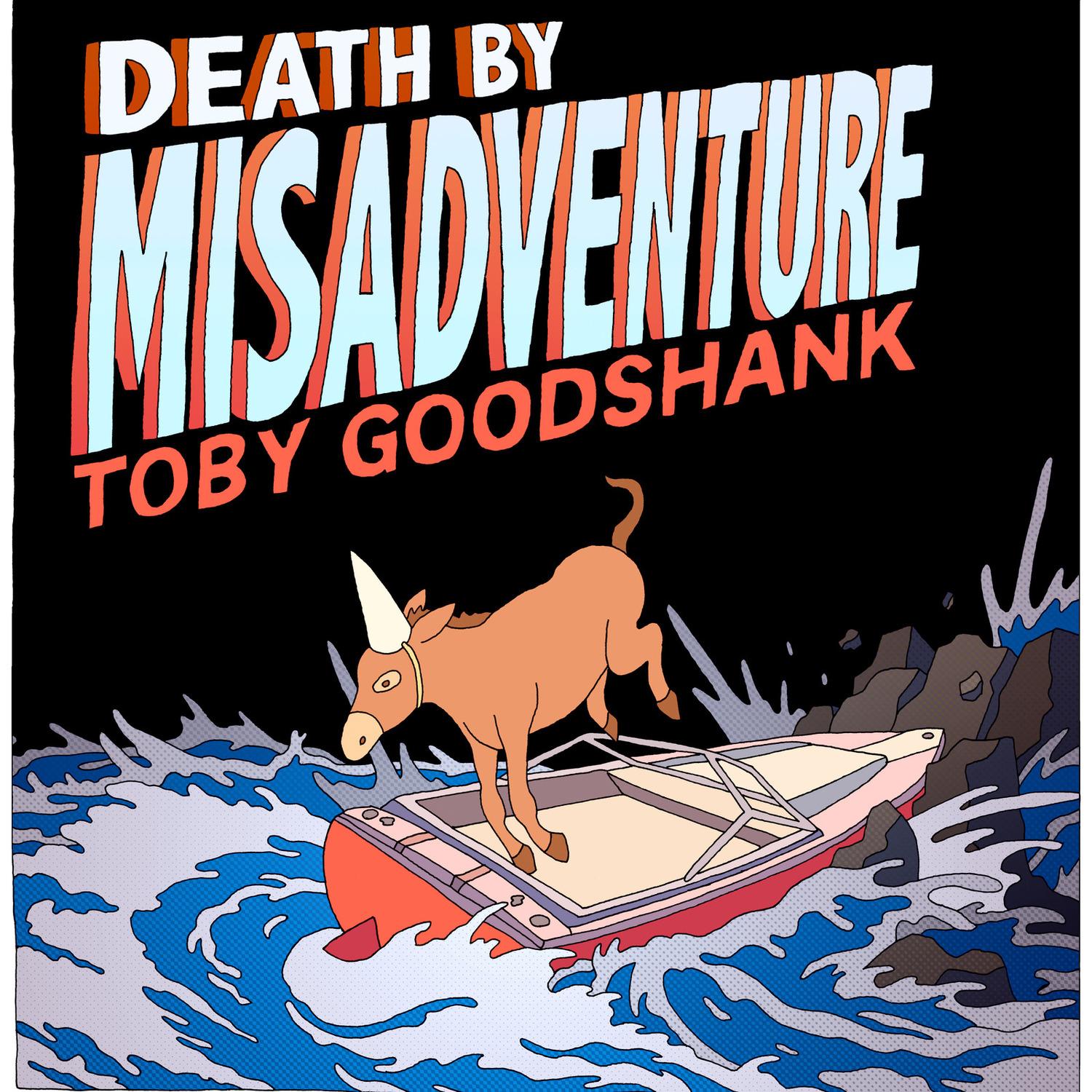Death by Misadventure