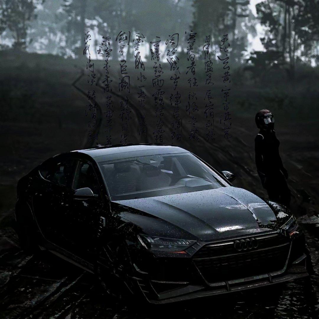 奥迪进行曲（低音高燃曲）