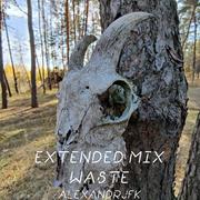 Waste (Extended Mix) (Original Mix)