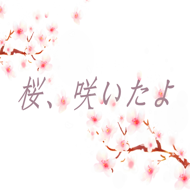 【庆十周年】桜、咲いたよ专辑