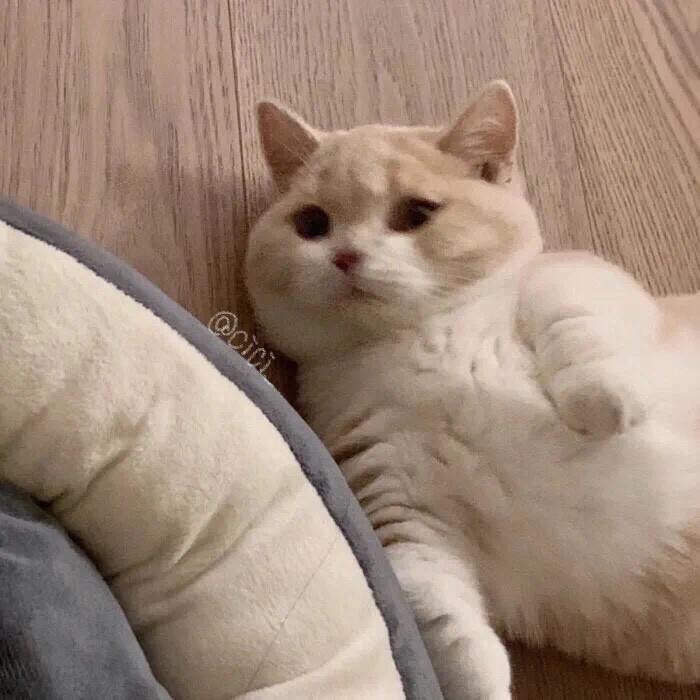 红尘客栈 (18秒片段)