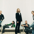 The Cardigans