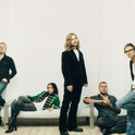 The Cardigans