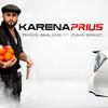 TamerlanAlena - Karena Prius