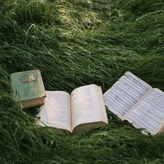 本人写作业学习歌单