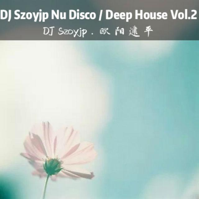 DJSzoyjp Nu Disco / Deep House Vol.2专辑