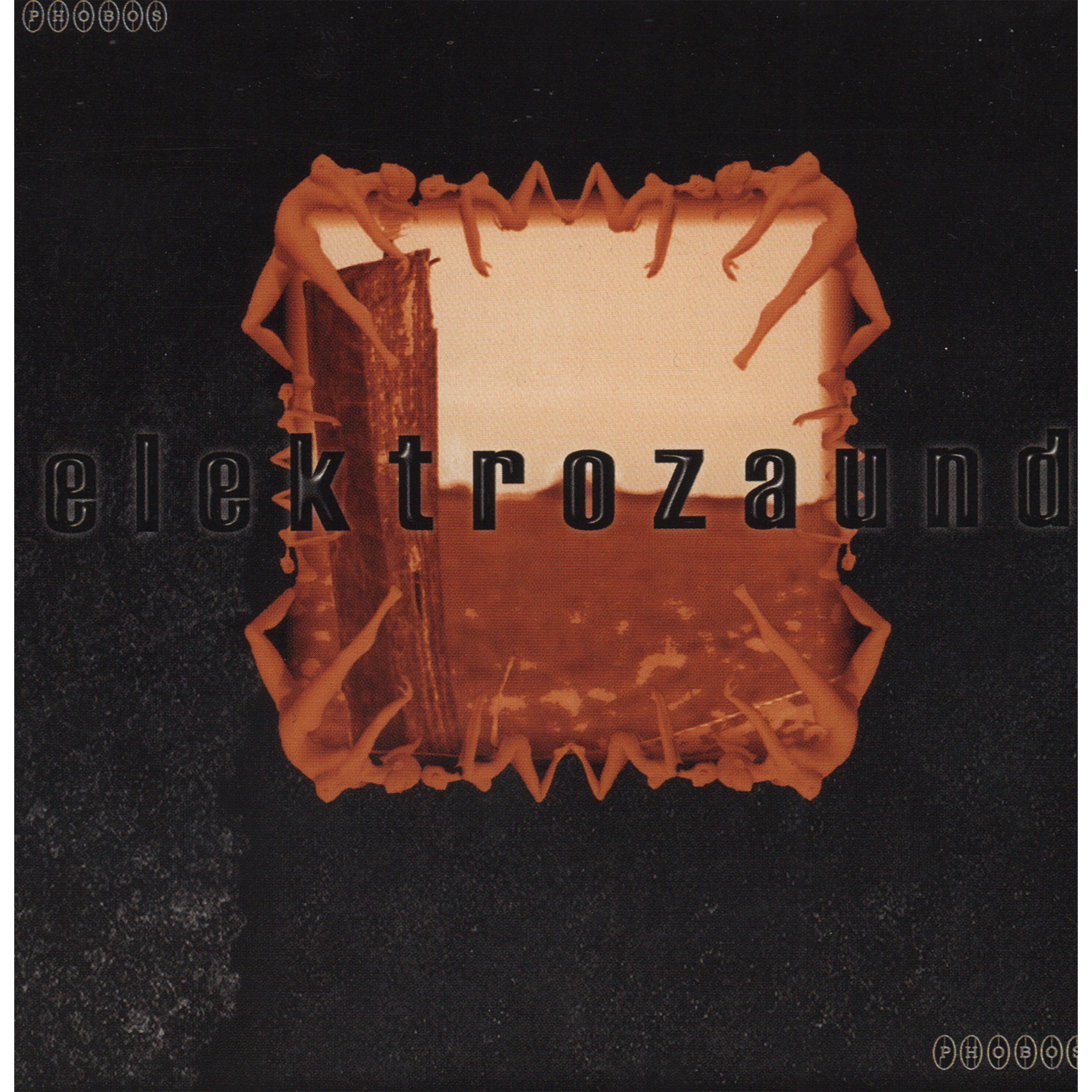 Elektrozaund