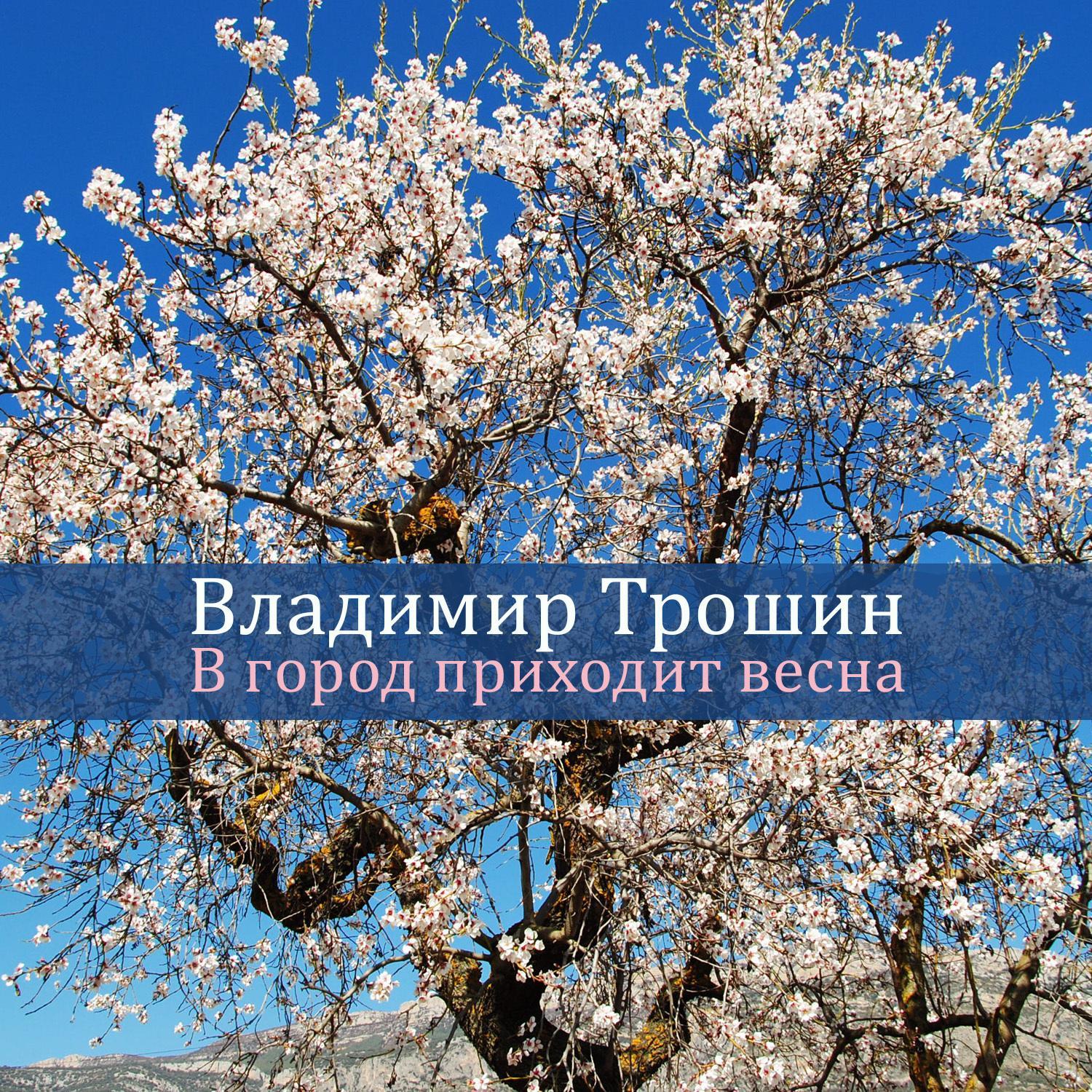 В город приходит весна