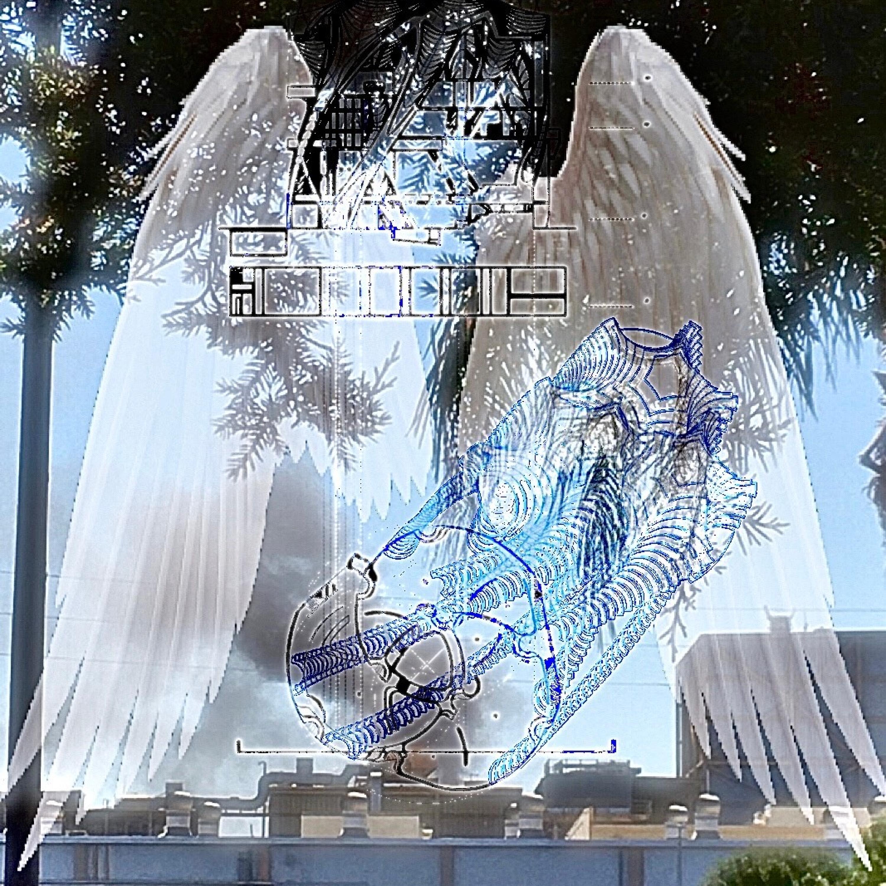 Wings (feat. Hayd3n)