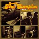 Doggystyle: The Samples (20th Anniversary)专辑