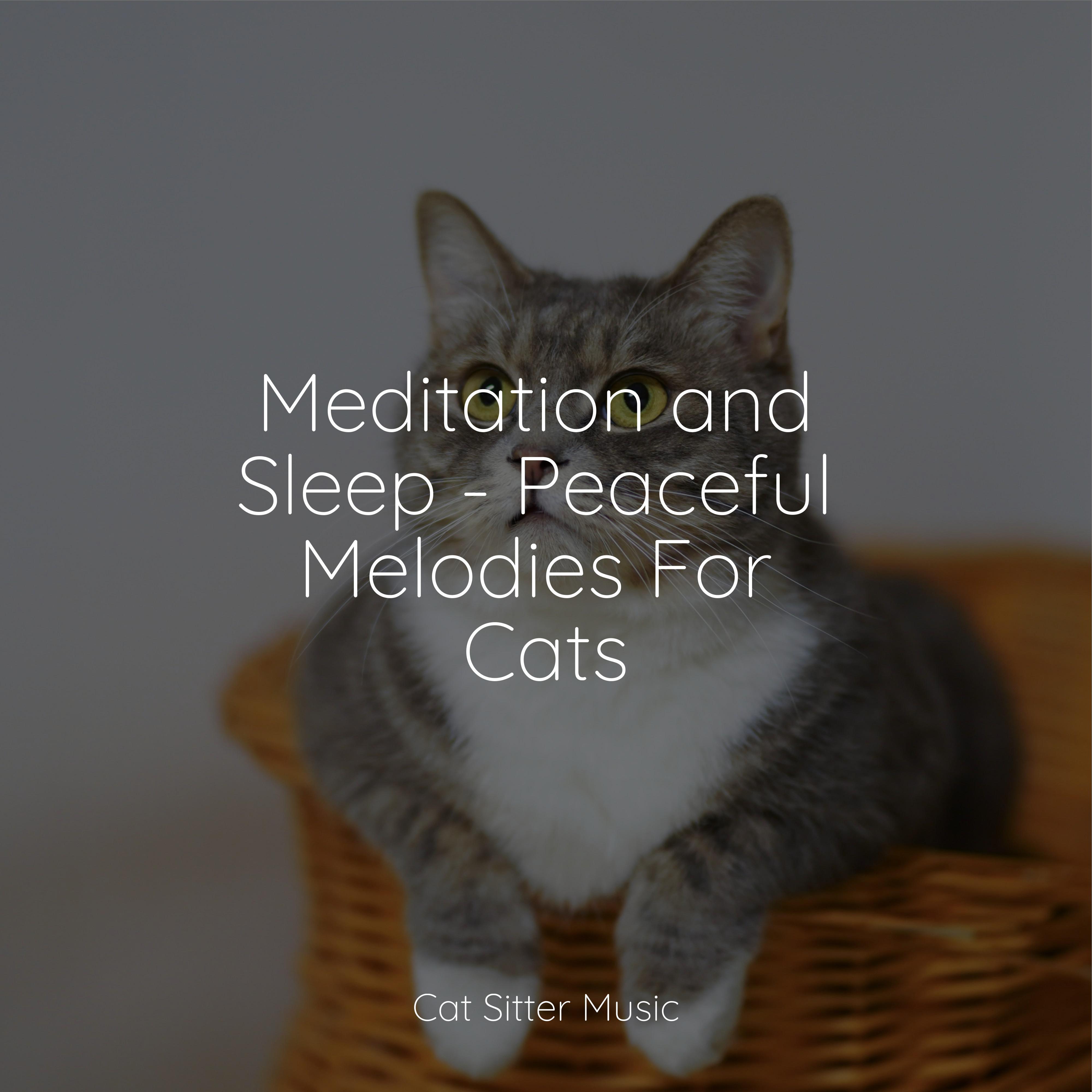 Music for Cats TA - Healing Sounds