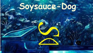 Soysauce-Dog