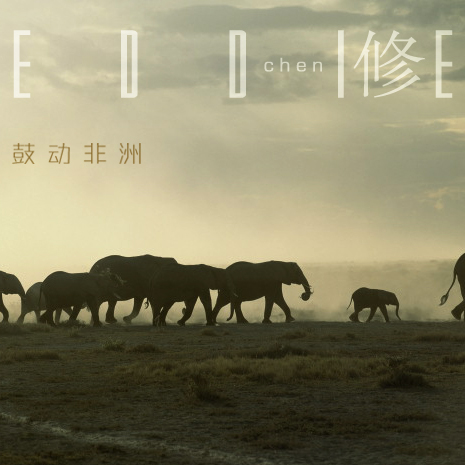 Forest Vierge 绿色的森林