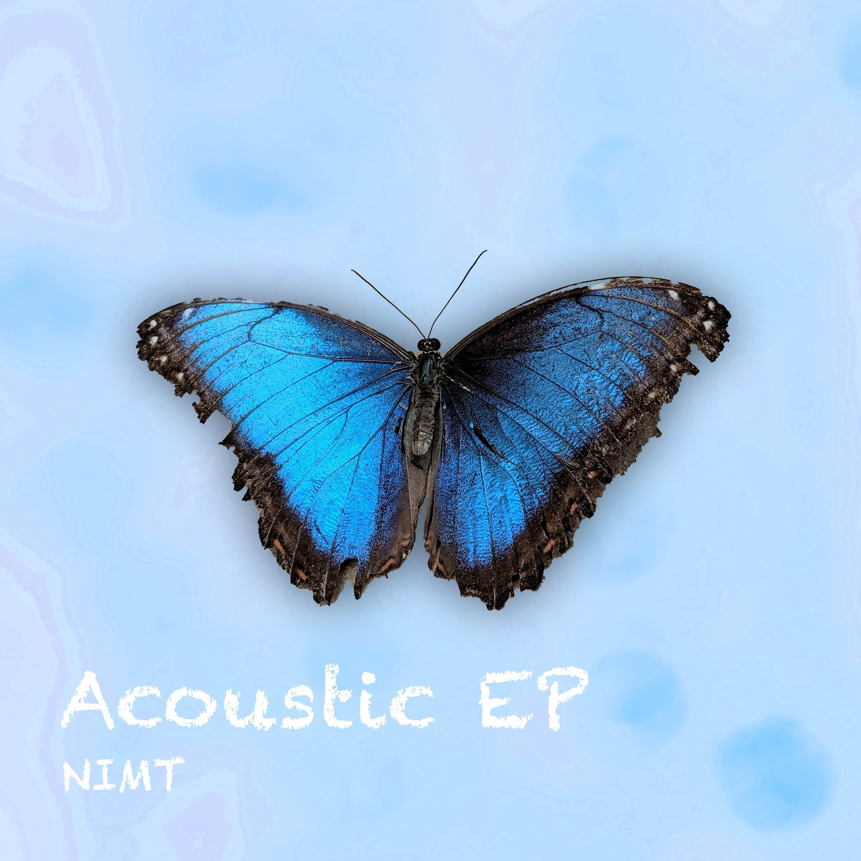 Nimt - I Could Be The One (Acoustic)