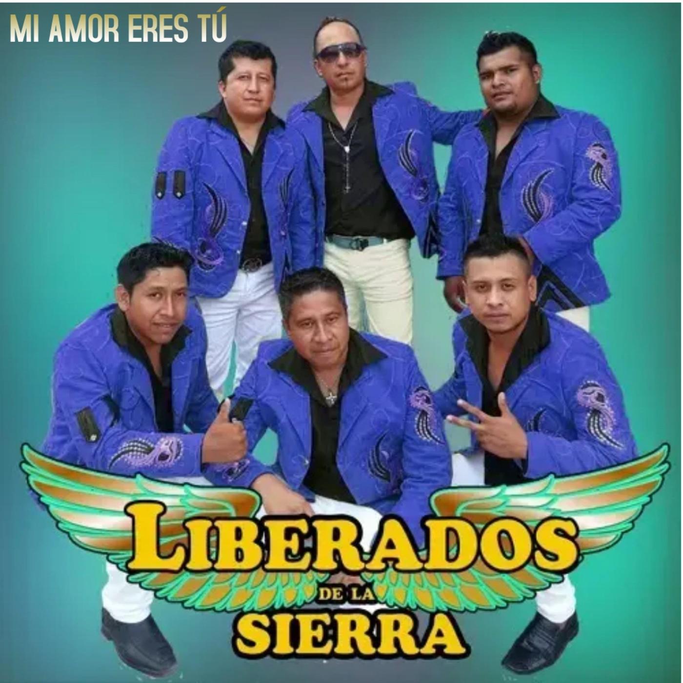 Mi Amor Eres Tu