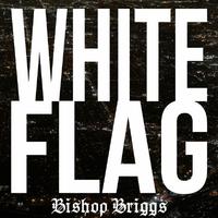 White Flag - Bishop Briggs (Karaoke Version) 带和声伴奏