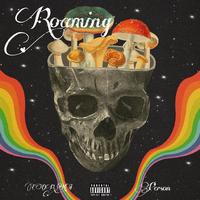 漫游Roaming