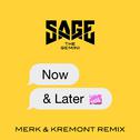 Now and Later (Merk & Kremont Remix)专辑