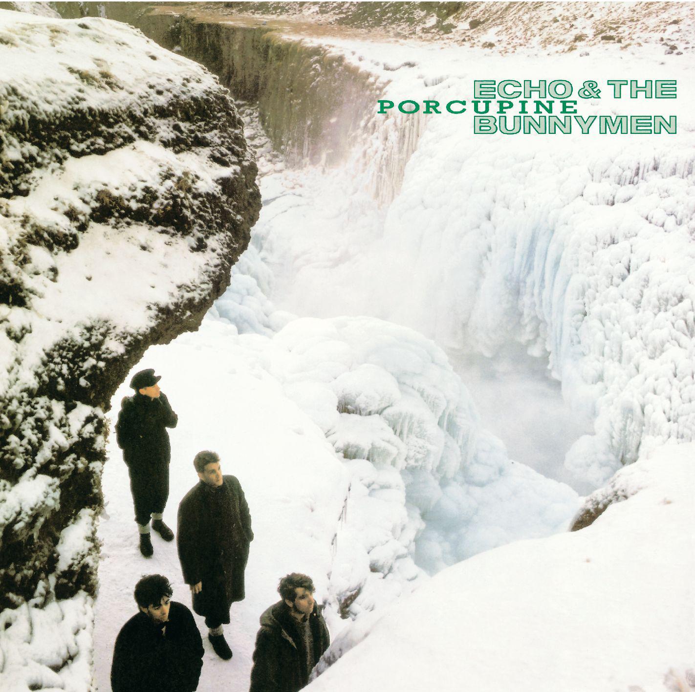 Echo & the Bunnymen - The Cutter