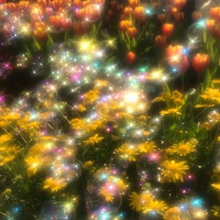 Summer软摇/浪漫夢幻 飘浮 失真 逃離 