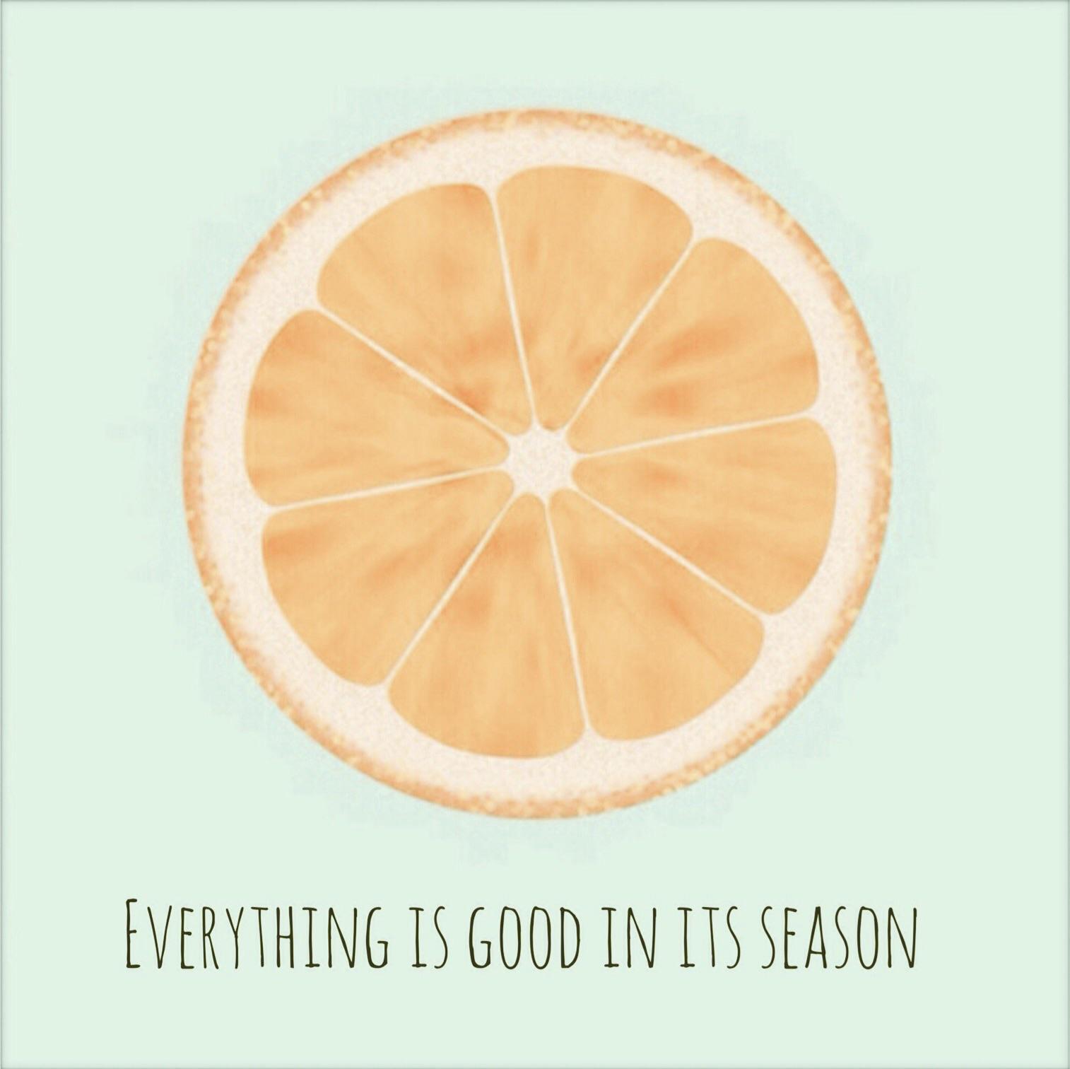 Everything is good in its season专辑