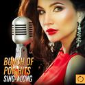 Bunch of Pop Hits Sing - Along专辑