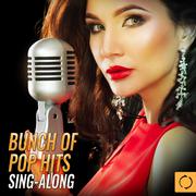 Bunch of Pop Hits Sing - Along