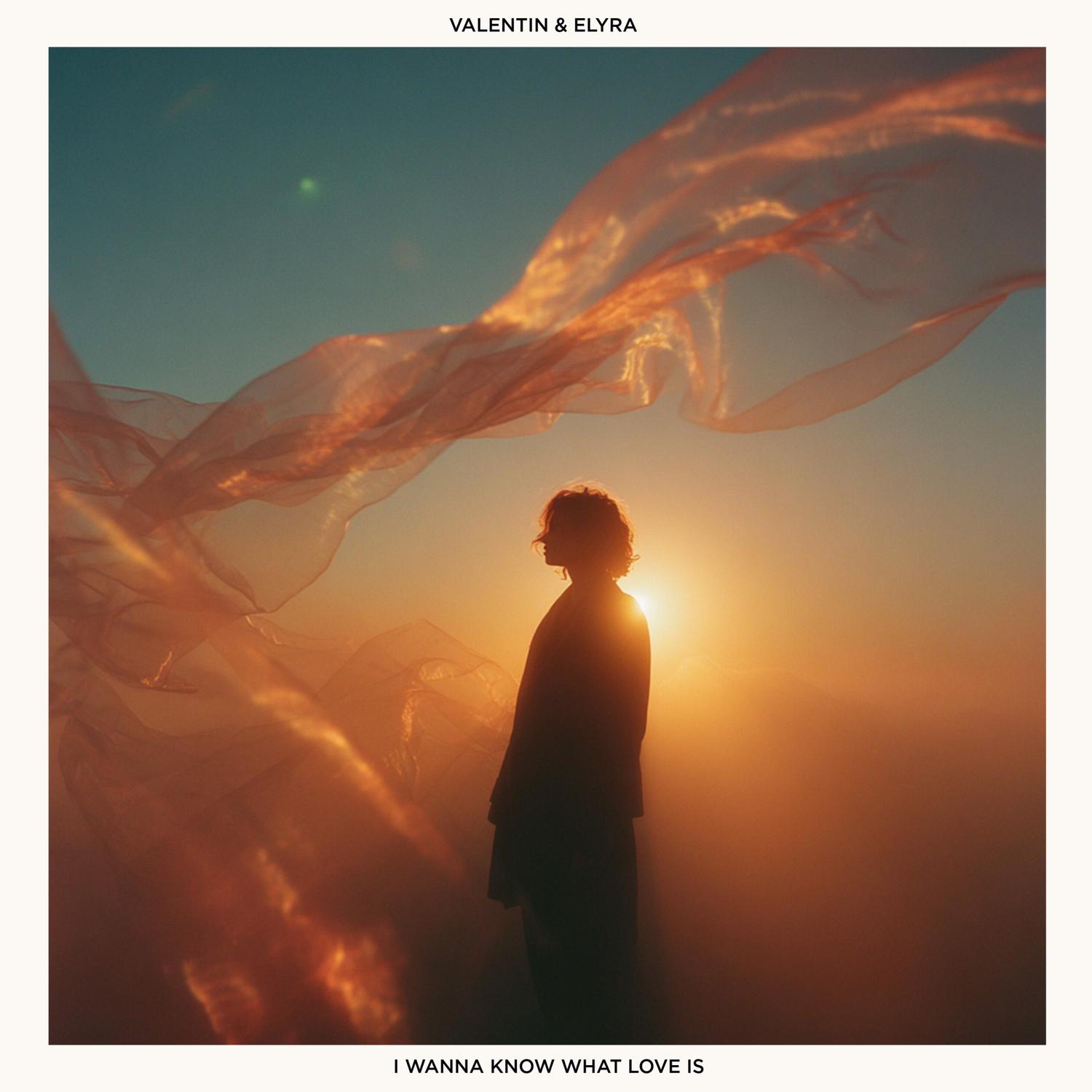 I Want To Know What Love Is