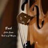 古典乐精选 - Cello Suite No. 3 in C Major, BWV 1009: VI. Gigue