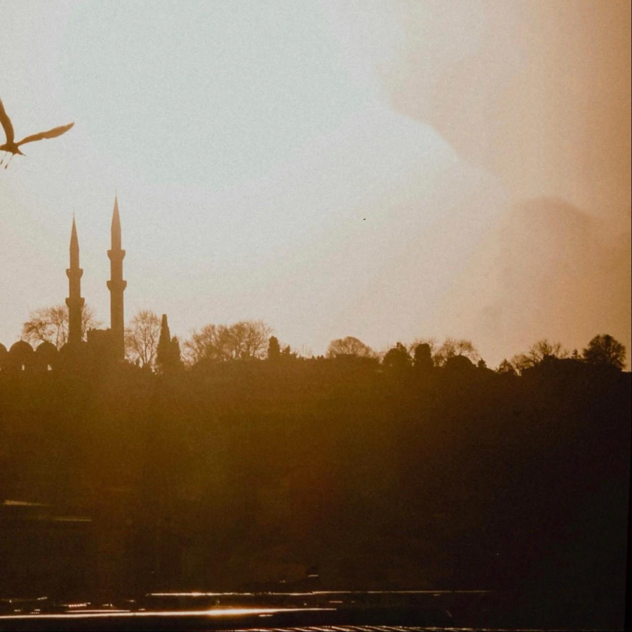 真的爱着你 阿梨粤