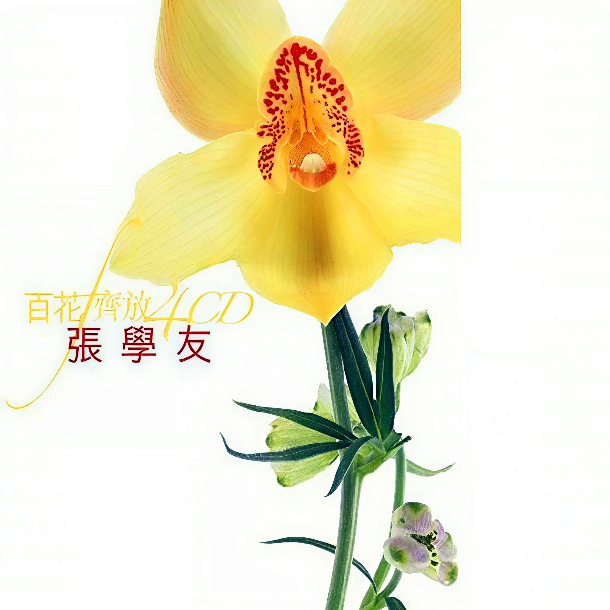 张学友-《百花齐放》