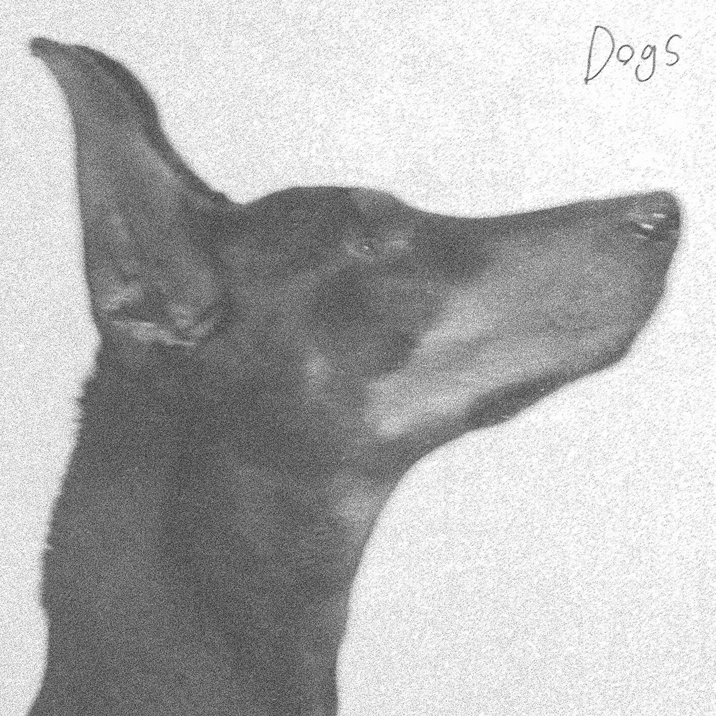 Dogs