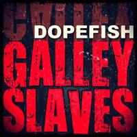 Galley Slave ’s Horizon