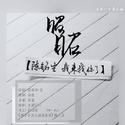 昭昭（《那个不为人知的故事》同人曲）