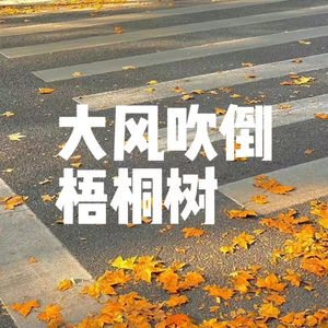 侯泽润 - 大风吹倒梧桐树