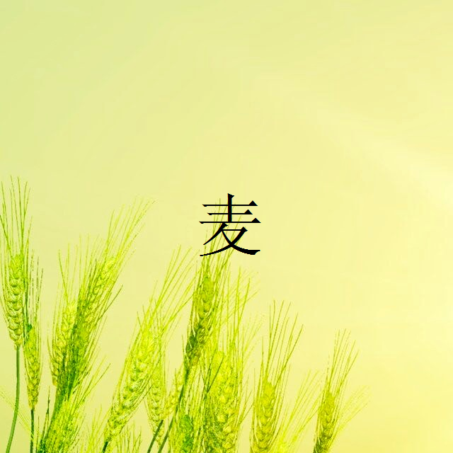 麦专辑