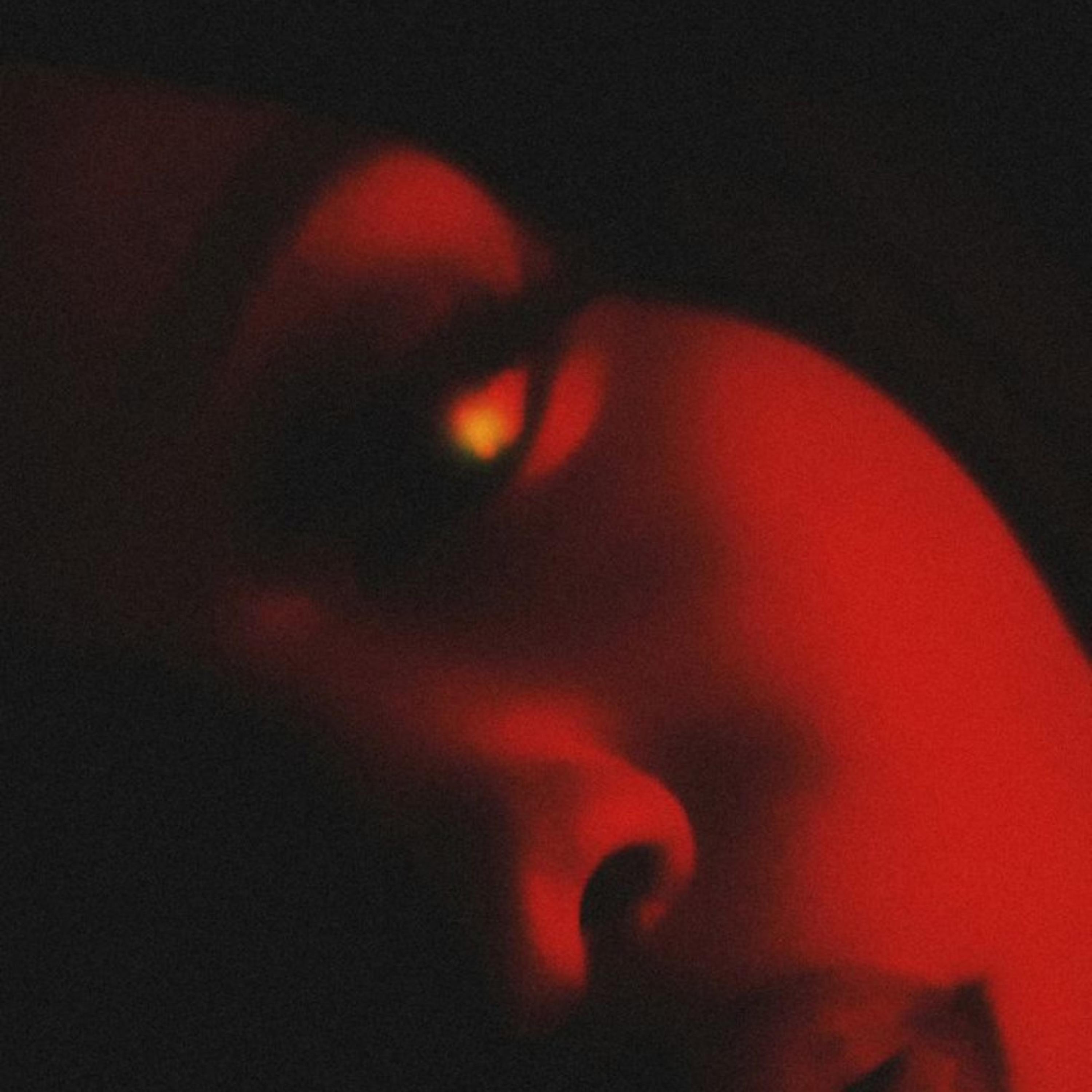 chemical (feat. Ayoley Beats & Ross Gossage)