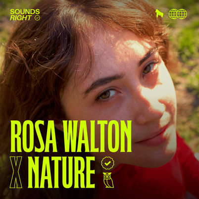 This Isn't It (feat. NATURE)