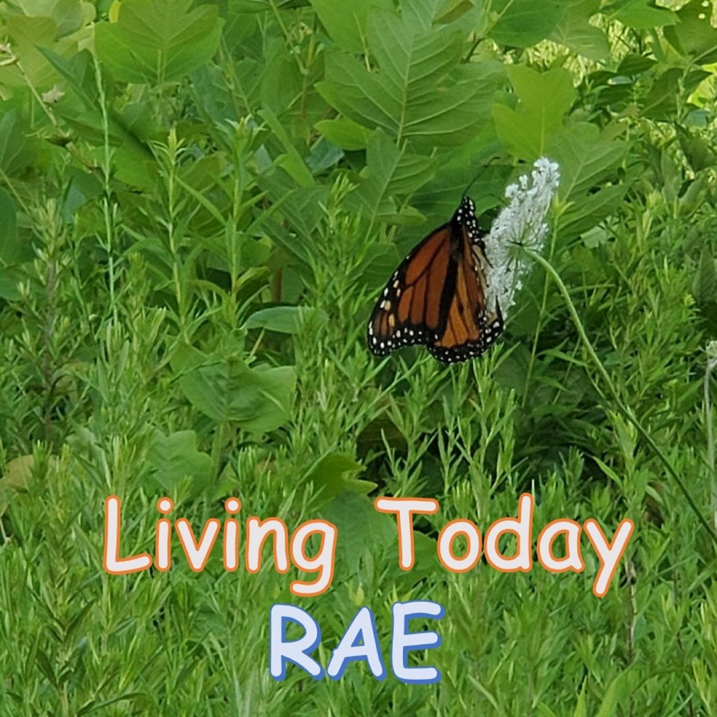 Living Today