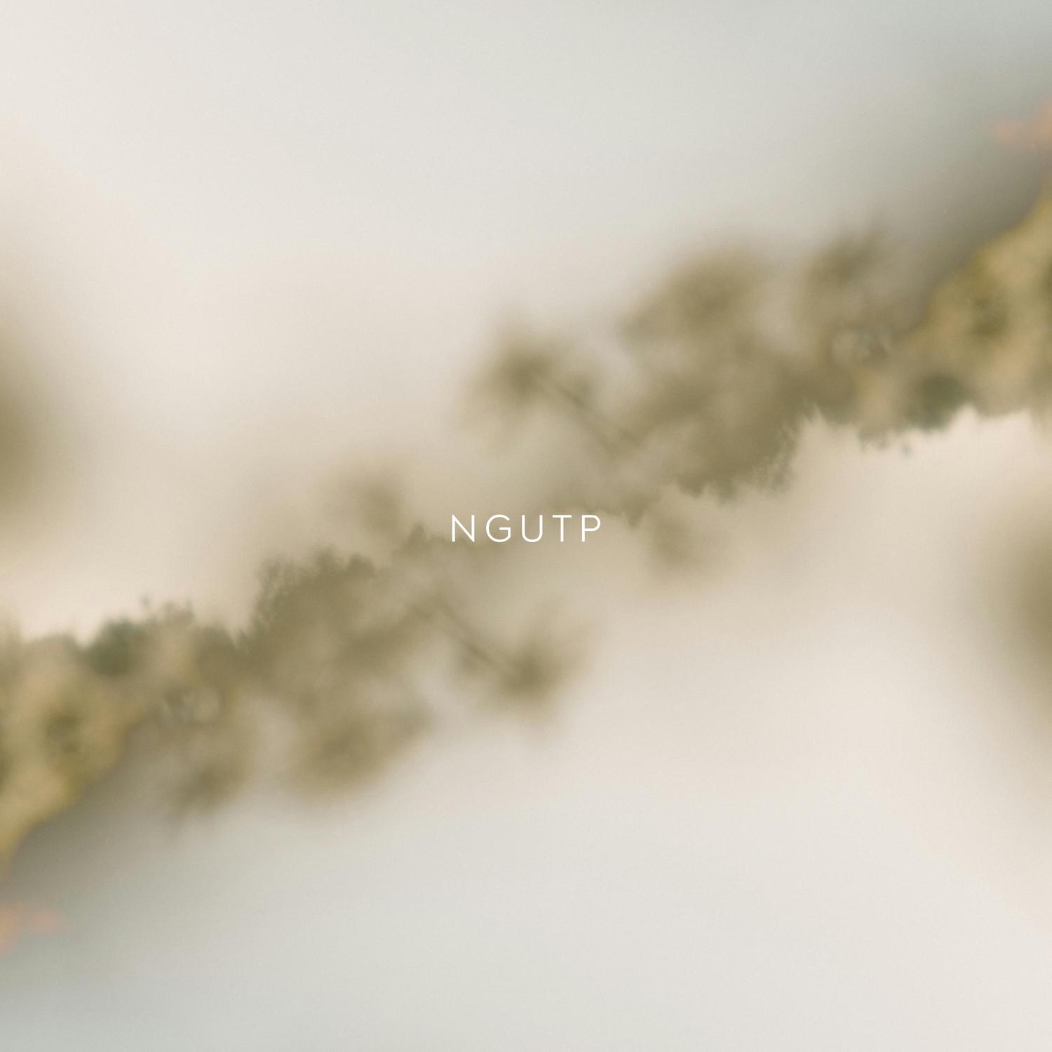NGUTP