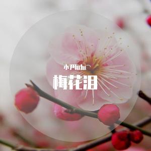 梅花泪 E调