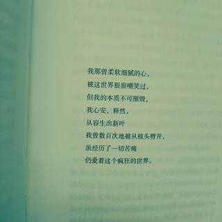 学习精选（安静纯音）