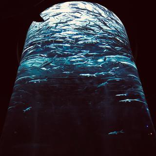浪漫摇滚丨想要飞走的热气球