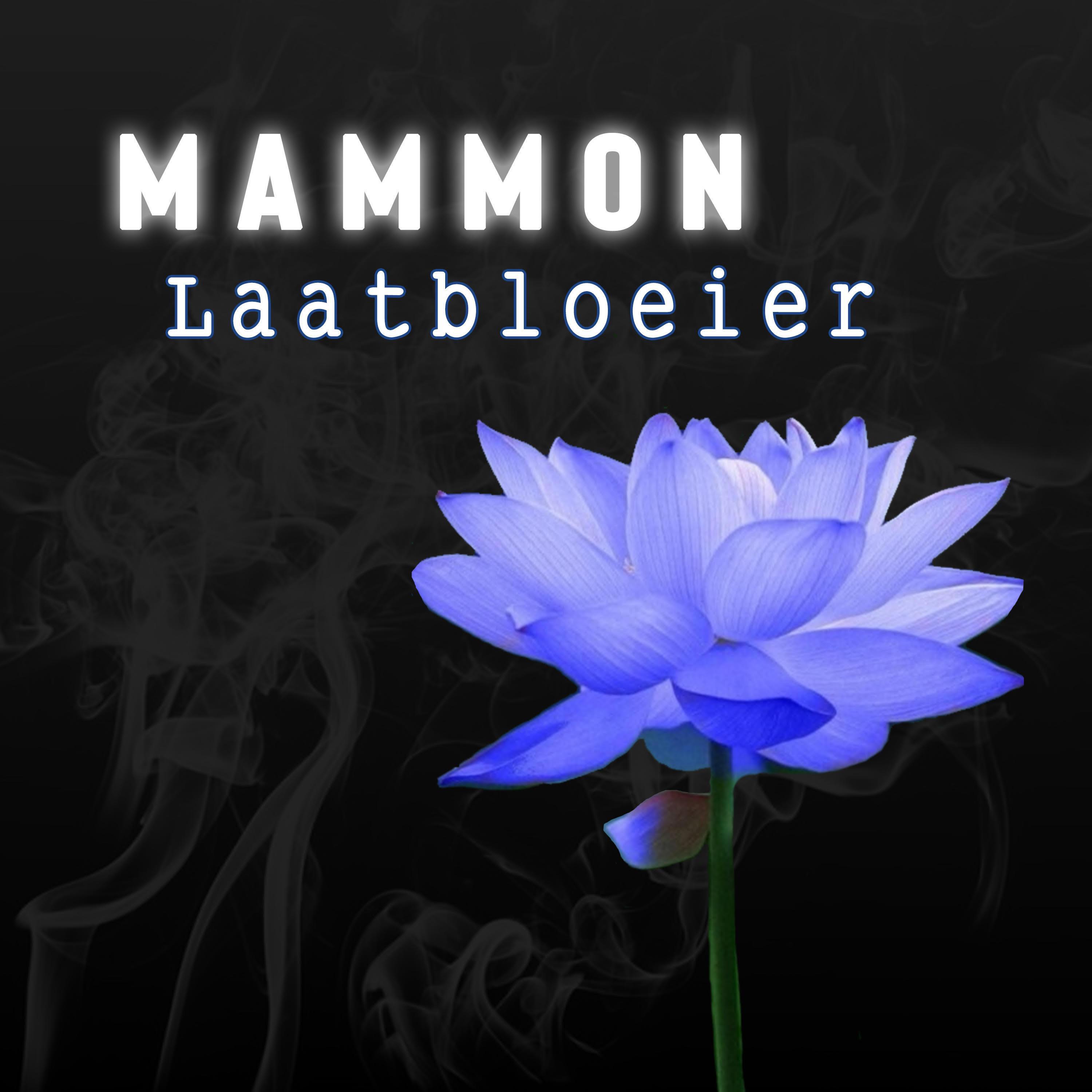 Laatbloeier