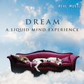 Dream: A Liquid Mind Experience